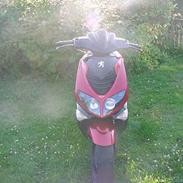 Peugeot Speedfight 2 Død:( 