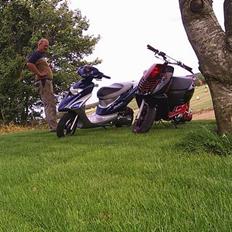 Honda SFX  |  Solgt