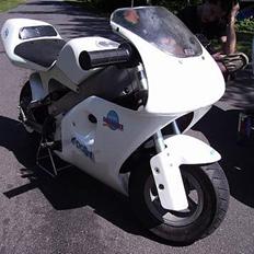 Polini 910 Carena *SOLGT*