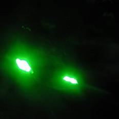 Peugeot Speedfight 2 TIL SALG 