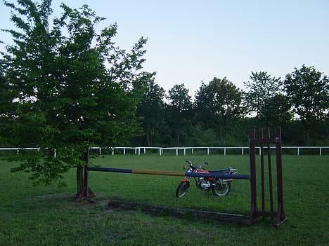 Honda CB50J - kom så, spring min pige billede 8
