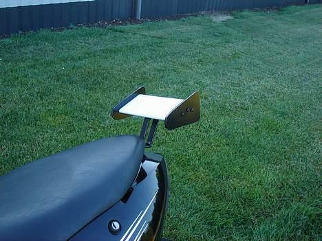 Suzuki Estilete - Min hjemmelavet hækvinge (gammelt billed) billede 5