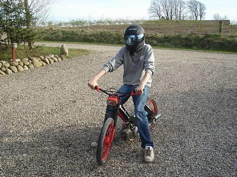 Puch Maxi > (Byttet til spy) - mig billede 1