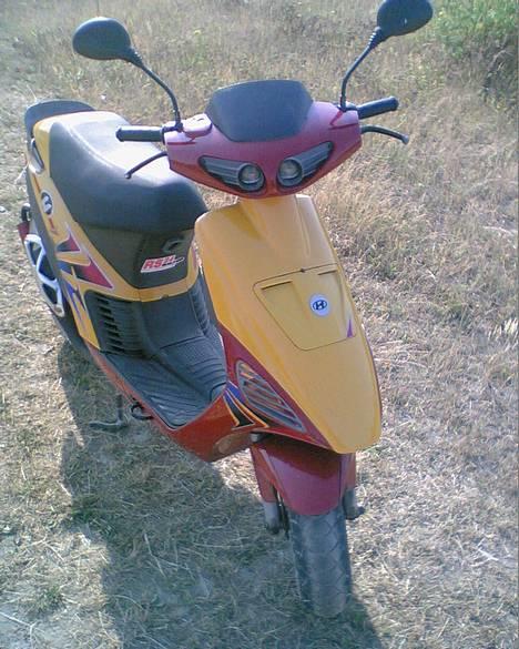 Atala Hacker billede 2