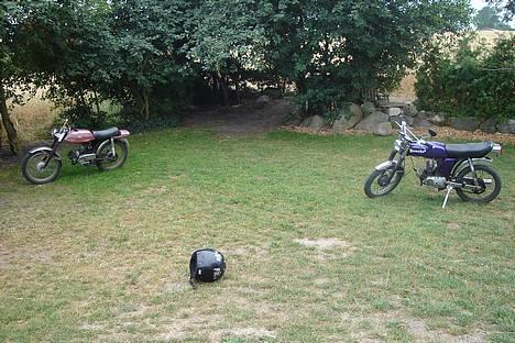 Puch monza $OLGT billede 8