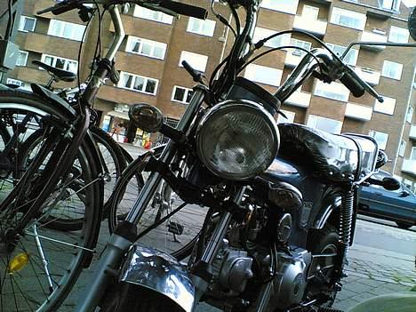 Honda skyteam ST50 DAX billede 2