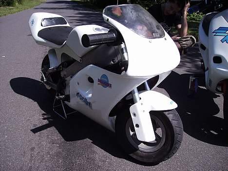 Polini 910 Carena *SOLGT* - Polini 910 Carena 4,2 1999 billede 1