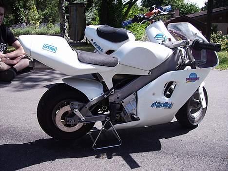 Polini 910 Carena *SOLGT* - Og det må så næsten være højre side..? billede 3