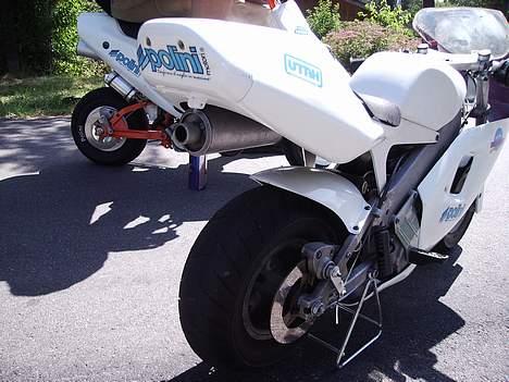 Polini 910 Carena *SOLGT* - Bagende ....... billede 6