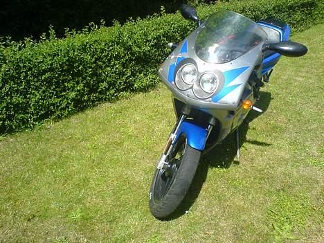 Derbi GPR billede 4