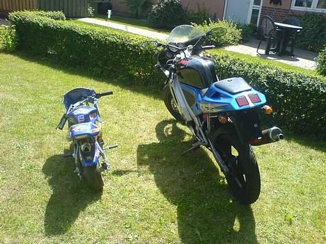 Derbi GPR billede 20