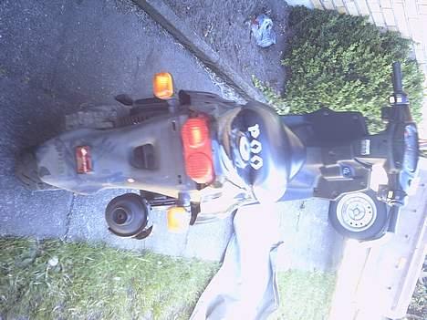 PGO Big Max (SOOLGT) billede 4