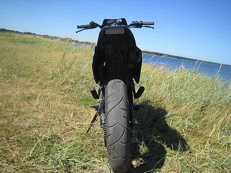 Suzuki SMX billede 2