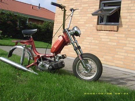 Garelli katia billede 4