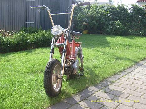 Garelli katia billede 5