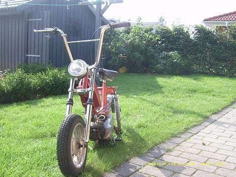 Garelli katia billede 6