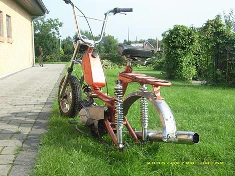 Garelli katia billede 7