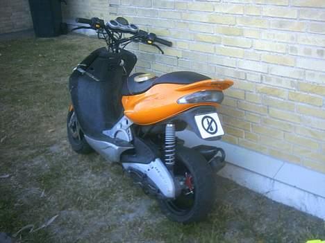 Malaguti Firefox F15 - "Røven" hvor man ser alko skiltet, der er påsat istedet for nummerplade :D billede 1