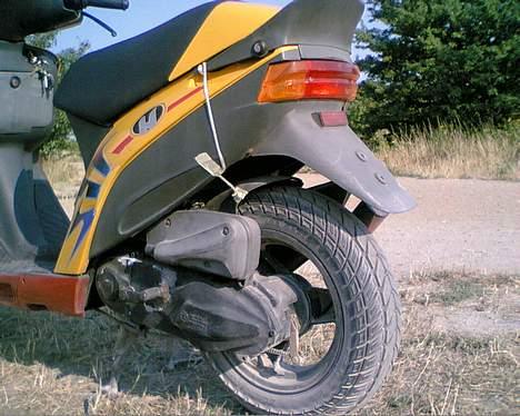 Atala Hacker billede 4