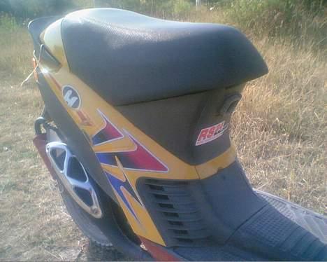 Atala Hacker billede 6