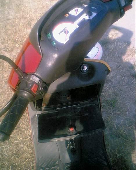 Atala Hacker billede 7