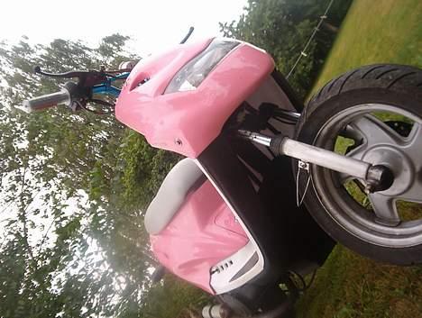 CPI Stage 6 Solgt - underskjold bliver hvid billede 8