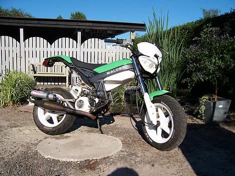 Suzuki Street-Magic "SOLGT" billede 2