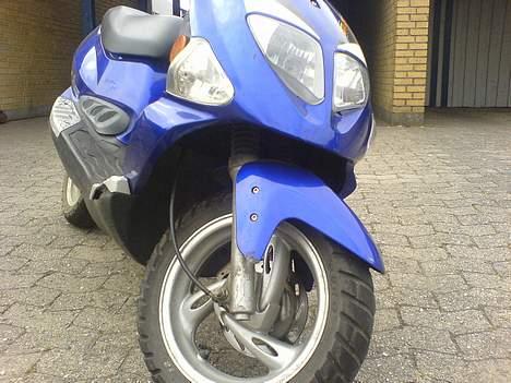 PGO dr. big /  ti salg billede 1