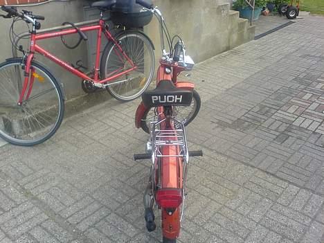 Puch Maxi billede 6
