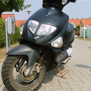 PGO dr big spec. farve