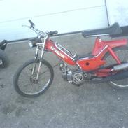 Puch Maxi KL (SOLGT)