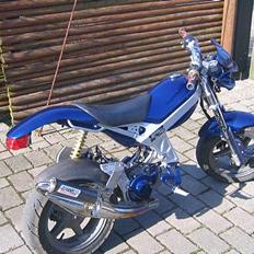 Suzuki Street Magic [SOLGT]