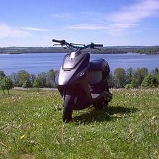 Kreidler Easy rider (SOLGT)