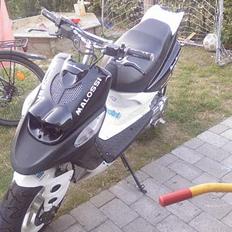 Yamaha SpyRox LC SOLGT