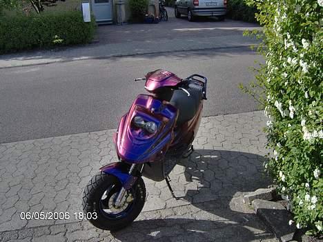 PGO Hot 50 Kamælion billede 14