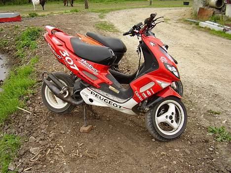 Peugeot wrc 307 billede 16