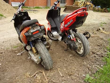 Peugeot wrc 307 billede 17