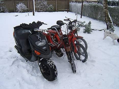 Gilera Stalker Byttet til Jog billede 3