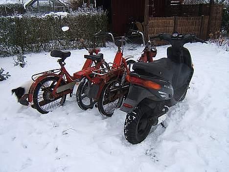 Gilera Stalker Byttet til Jog billede 4
