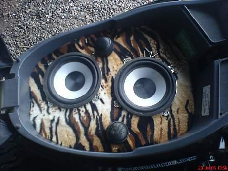 PGO Dr. big! byttes for sonic billede 16