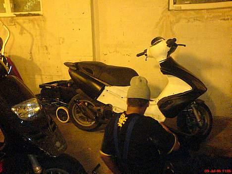 Benelli  491  billede 6