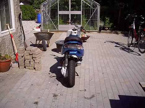 Gilera stalker ( tilsalg) billede 12