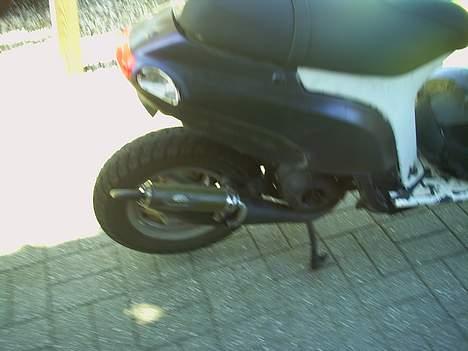 Piaggio thypoon billede 2