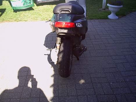 Piaggio thypoon billede 3