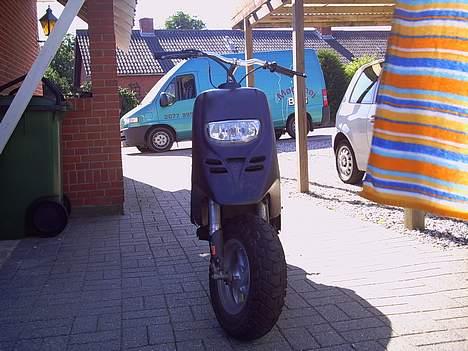 Piaggio thypoon billede 5