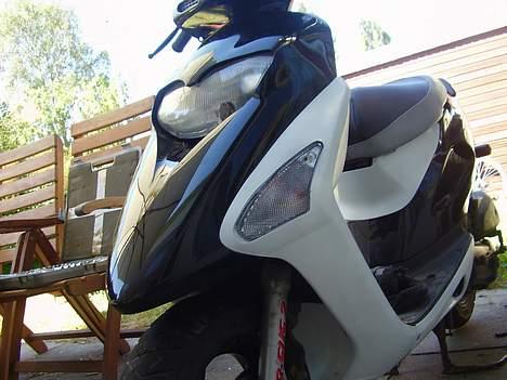 Honda SFX byttet til SSM billede 1