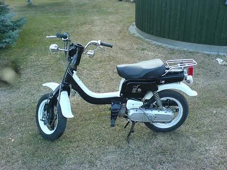 Suzuki fz 50 billede 1