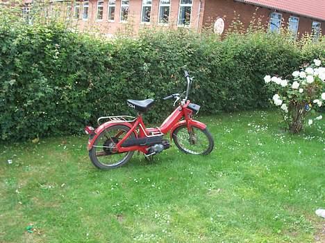 Puch maxi billede 3