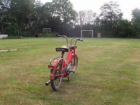 Puch maxi billede 7