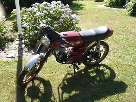 Puch Monza Juvel - monza <3 billede 2